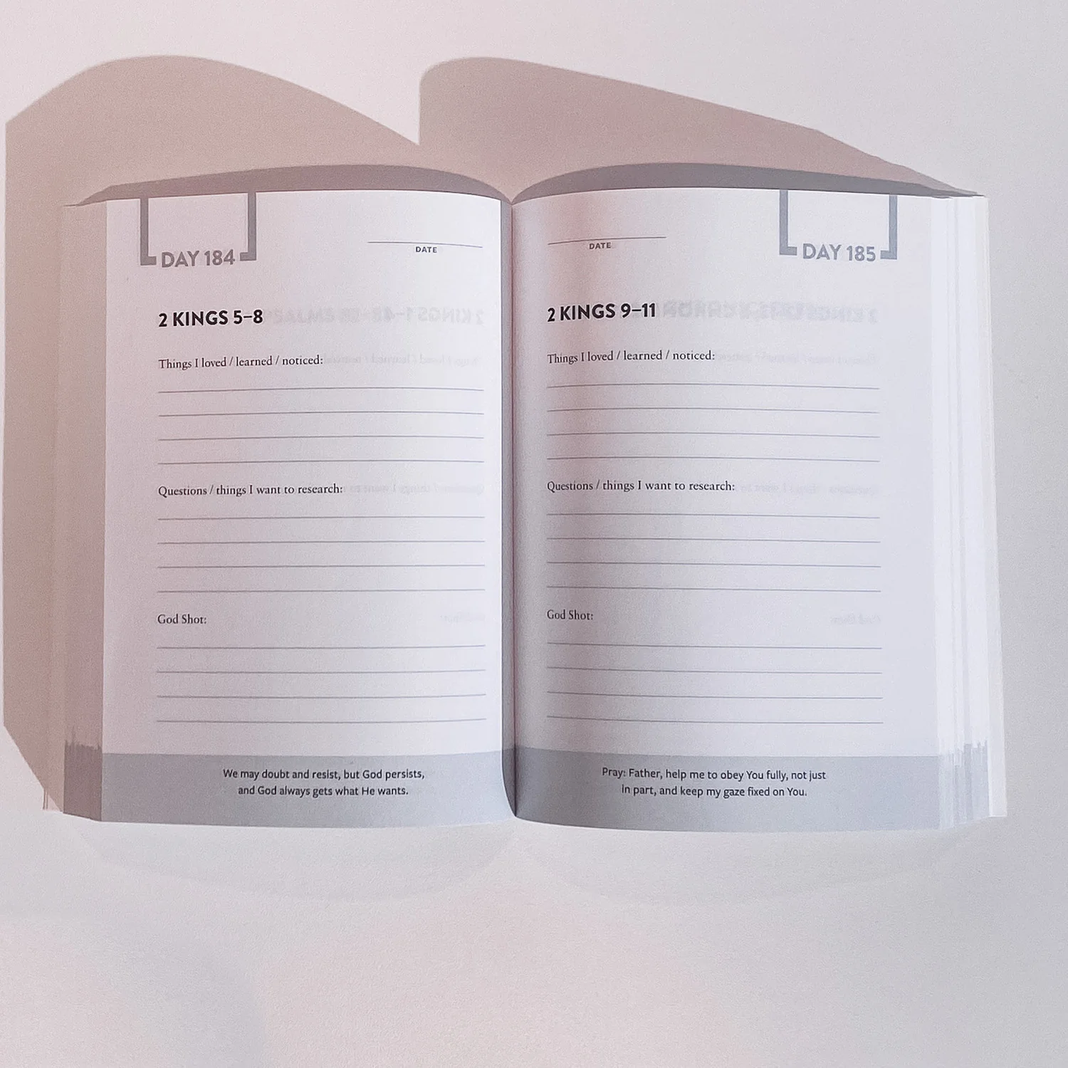 The Bible Recap: Journal - Image 3