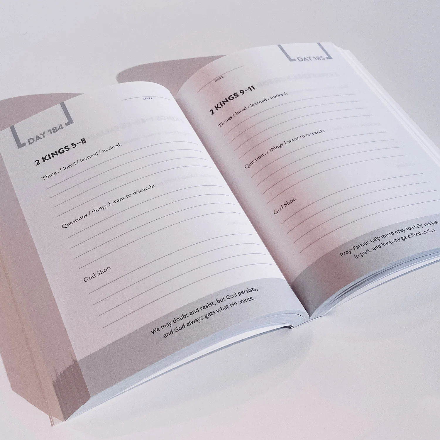 The Bible Recap: Journal - Image 4